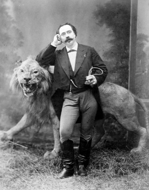 Antique Circus Tiger Photo 1217b Oddleys Strange & Bizarre