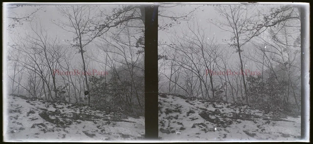 Paysage enneigé c1930 Photo NEGATIVE Plaque de verre Stereo Vintage V21T8n4