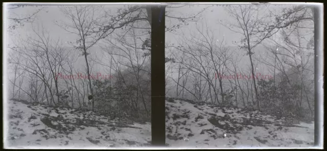 Vintage Snowy Landscape c1930 Photo NEGATIVE Stereo Glass Plate V21T8n4