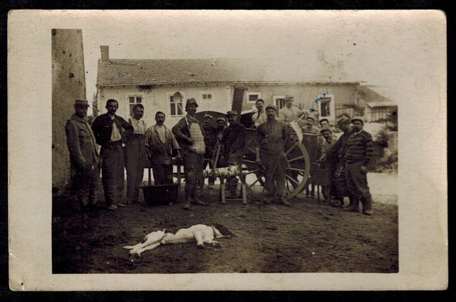 Cpa Carte Photo militaires avec une charette chien mort dans un village m058