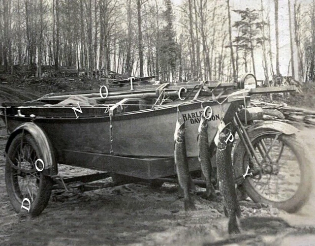 harley davidson factory sidecar for sale