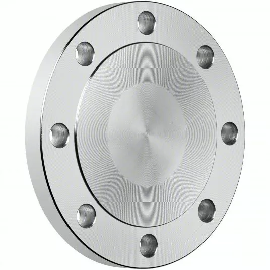 Blind Flange 6" 150 Raised Face A/SA182 F316/316L Stainless Steel B16.5 8-Holes