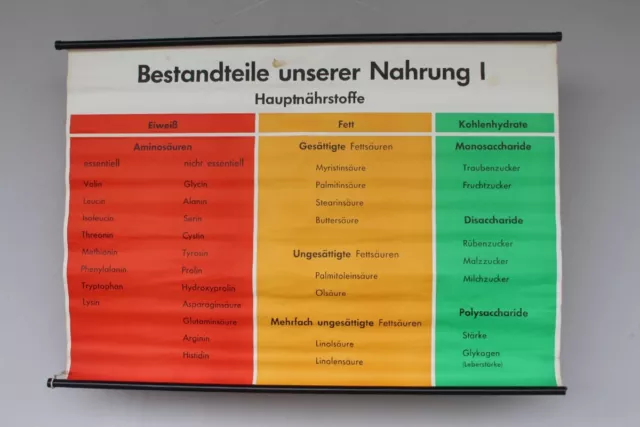 Alte Schulwandkarte Rollkarte Lehrtafel Bestandteile unserer Nahrung 1960er