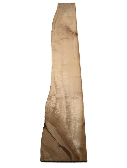 Riegelahorn Bois Geriegelt Bois de Résonnance Curly 135x17-26cm x 23mm