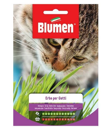Semi Erba Per Gatti Battle - Aromatici, Per Digestione E Eliminazione Boli Di Pelo, Vaso 10-15cm, Facile Coltivazione