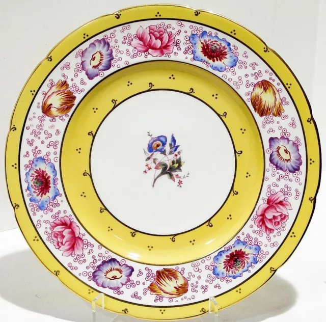 Vintage Coalport England 10-1/2" Dinner Plate Rare CLUNBERRY Floral Yellow Band