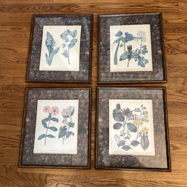 Vintage The Bombay Company Framed Botanical Print Set Of 4 App 12.5 X 14.5 In