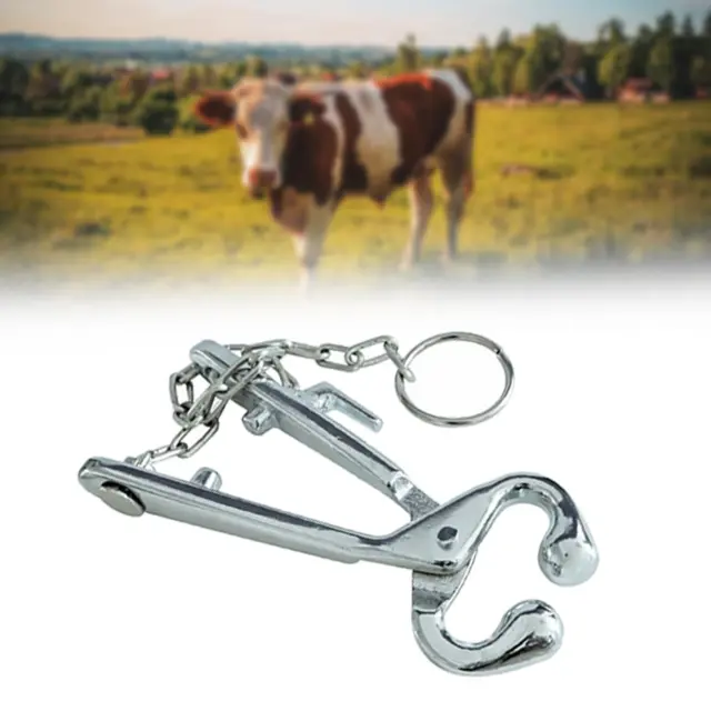 Rindernasenzange Landmaschinen-Piercing Rinderbullennase Kuh-Nasenklammer für