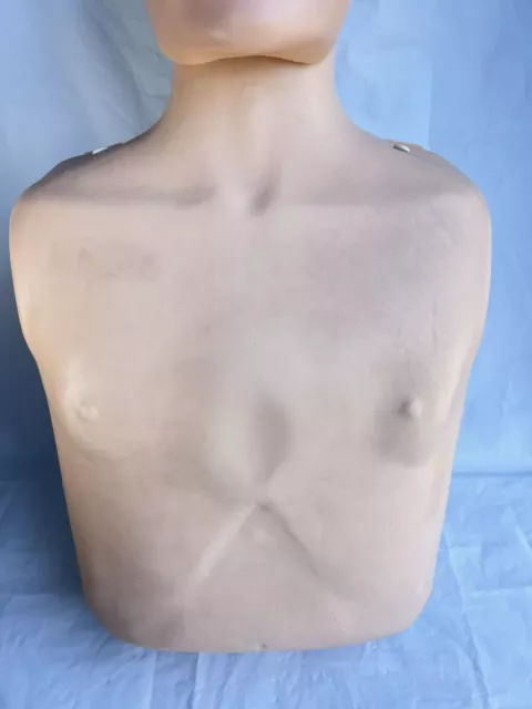 Laerdal Little Anne CPR Trainer Manikin Adult Torso 3