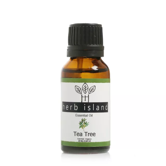 Tea Tree Essential Oil Pure Natürlich Massage 15ml/ 20/30/50/100ml