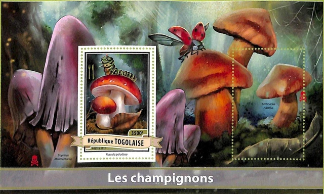 A9754 - TOGO - ERROR MISPERF Stamp Sheet - 2017 - MUSHROOMS