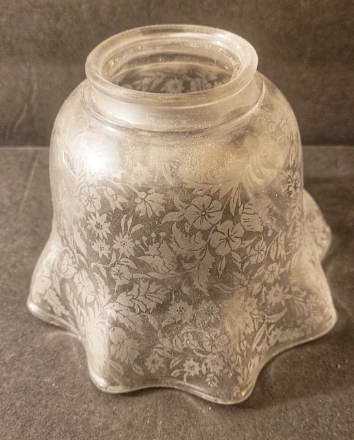 Antique Acid Etched Glass Lamp Shade Victorian Gasolier Art Nouveau Deco Floral