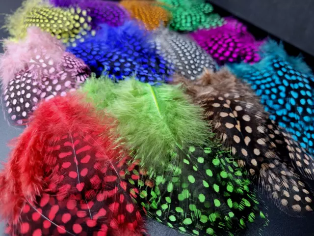 GUINEA FOWL FEATHERS - Fly Tying Materials - 12 COLORS - Fly Tying Feathers NEW