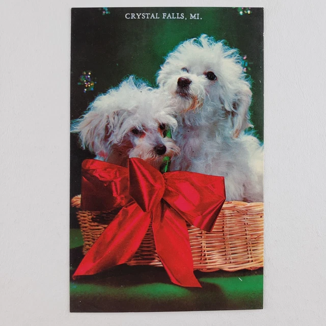 Gift Basket Dogs Bow Postcard 1970s Crystal Falls Michigan Vintage Puppies A973 2