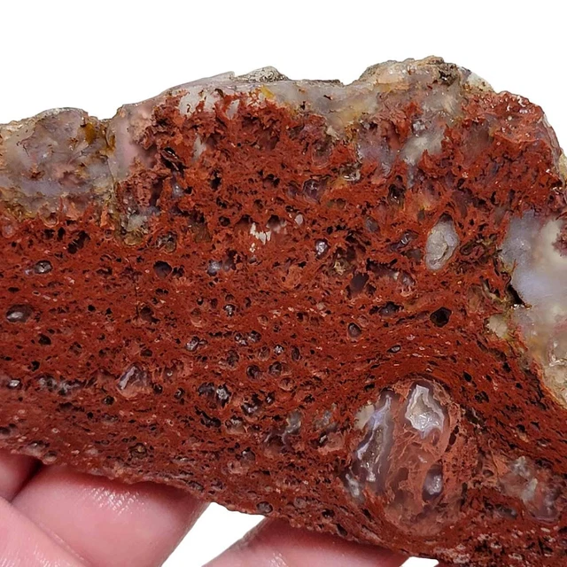 Old Stock Carey Plume Agate Slab! Lapidary Stone Slab!