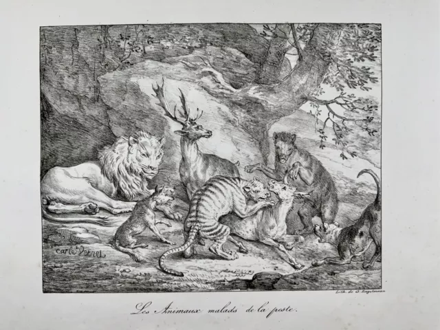 1818 ‘Incunabula of Lithography’ Carle Vernet, G. Engelmann, Bestiary, Lion