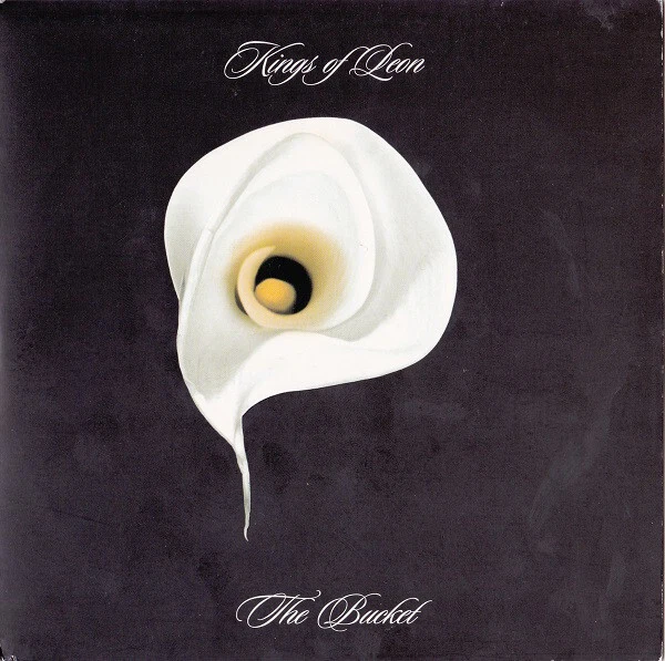 Kings Of Leon - The Bucket - Used Vinyl Record 7 - P1167S