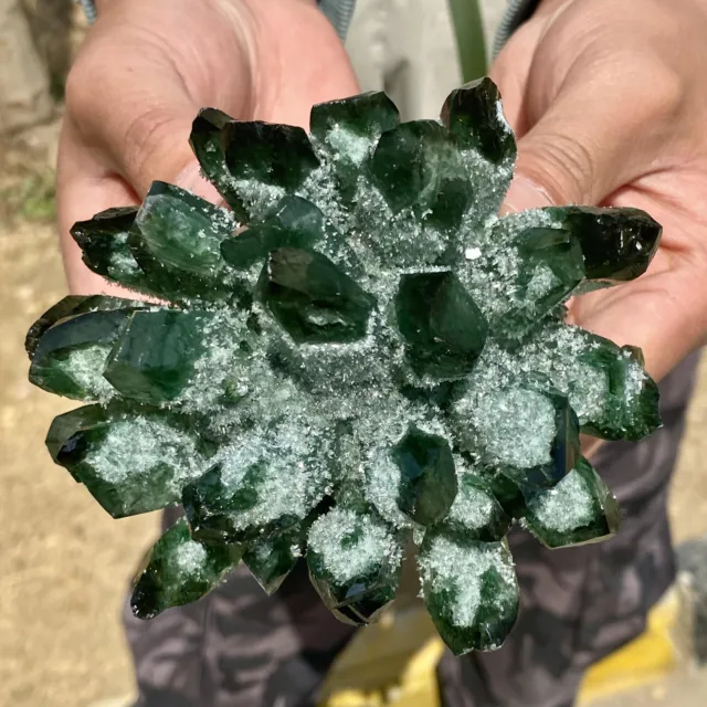 1.7LB New Find Green Phantom Quartz Crystal Cluster Mineral Specimen Healing