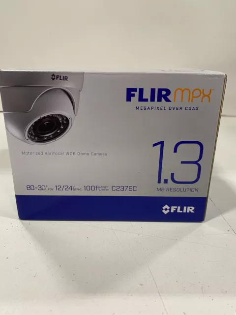 FLIR Lorex Digimerge C237EC 720p