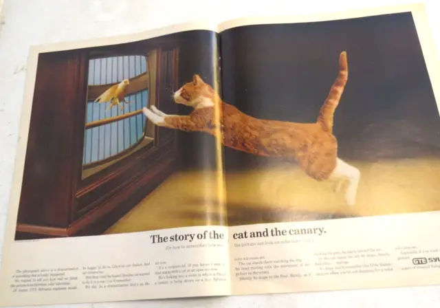 1971 Print Ad GTE Sylvania The Story of the Cat and the Canary How real picture
