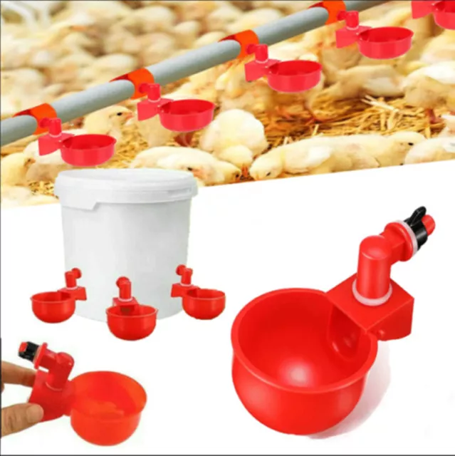 6 PCS Automatic Water Cups Poultry Drinker Waterer Chicken Duck Quail Drinking