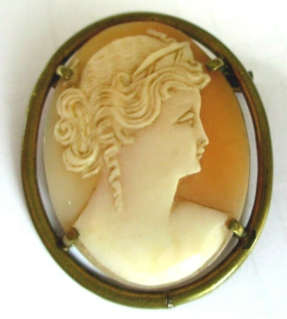 Broche Pendentif En Or Et Camée Corail