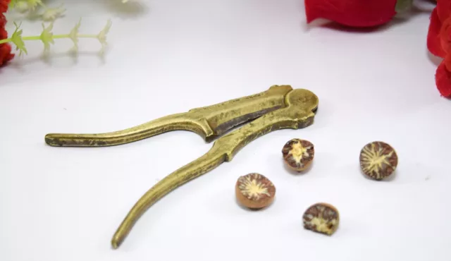 Brass Areca Nut Cutter Indian Beautiful Classic Decor Collectible. i12-164