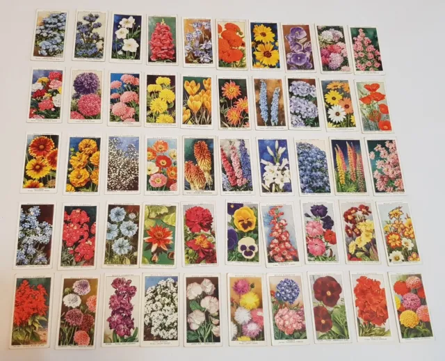 50 Cigarette Cards WILLS: 1939 GARDEN FLOWERS (Sudell) Full Set of 50 (#101)