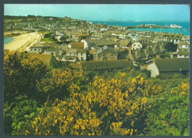 High Town from Buzza Hill St Mary's Scilly       1991   Postcard