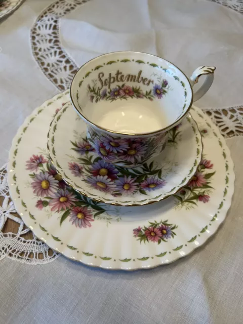 Royal Albert Flower Of The Month September Daisy Trio  Tea Cup Saucer Plate Mint