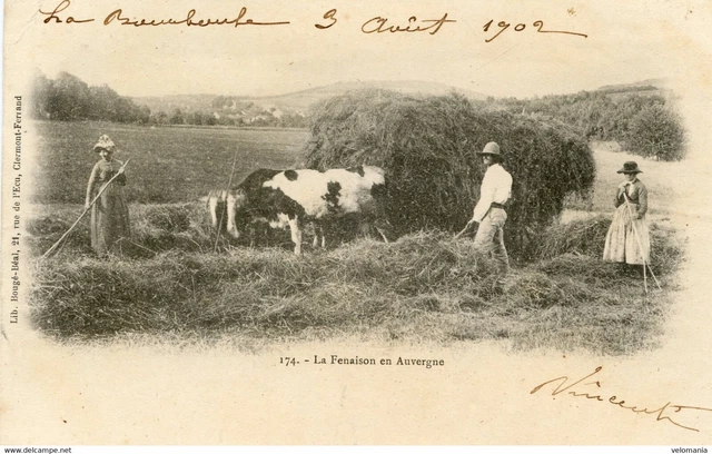 S10901 cpa 63 La Fenaison en Auvergne