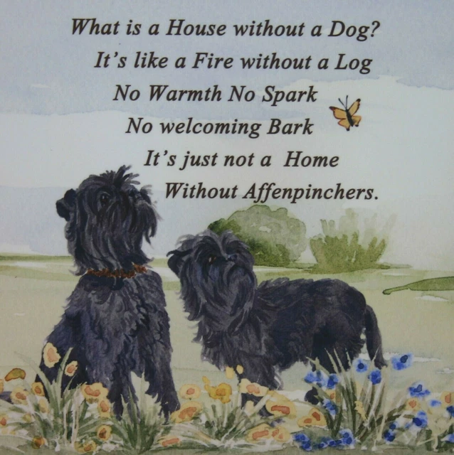 Affenpinscher Dog Hardboard Plaque Tile Sandra Coen Artist Watercolour Print