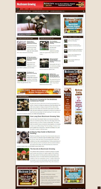 Crescita Tamponi Affiliazione Website- Nuovo Domain-Ssl Certificato