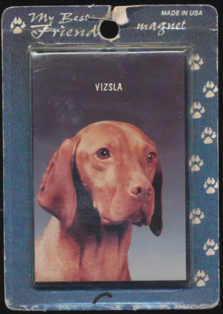 My Best Friend Hungarian or Magyar Vizsla Dog Refrigerator Magnet NOS