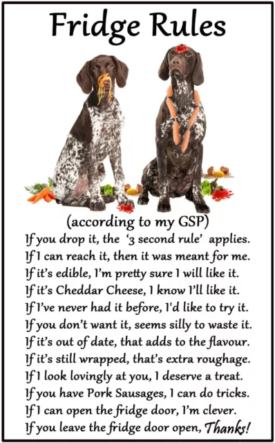 German Shorthaired Pointer Gift - Large Fridge Rules flexible Magnet 6" x 4"