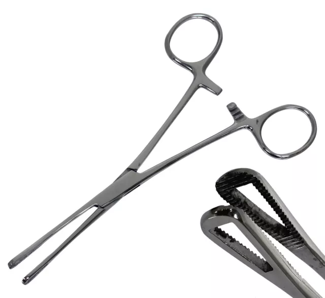 Pennington Forceps - kleine Piercingzange abgerundet Dreieckszange geschlossen