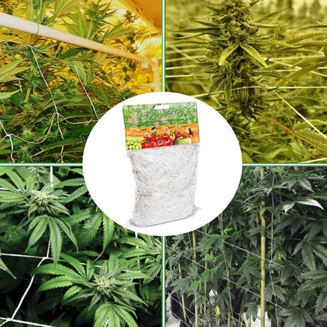 Filet En Treillis Pour Plantes De Jardin, 5-20m, Maille Robuste