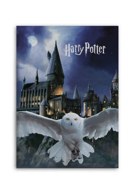 Harry Potter Couverture Polaire Couverture à Câliner Couvre-Lit 100 X 140 CM