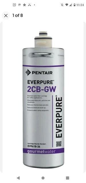 Water Filter Pentair Everpure 2CB-GW EV9618-36 Filter Cartridge