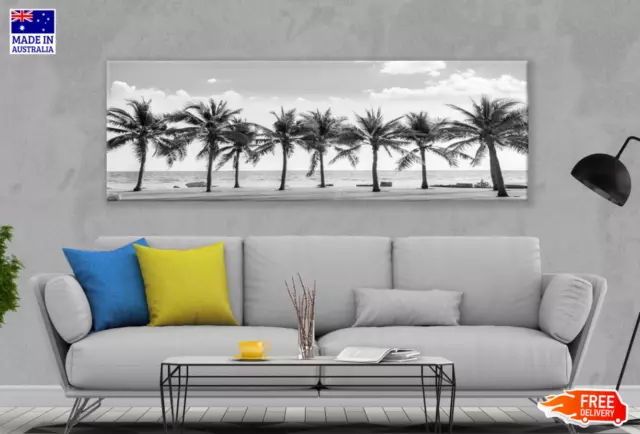 Panoramic Canvas Palm Trees B&W View High Quality 100%  Australian Made Quality