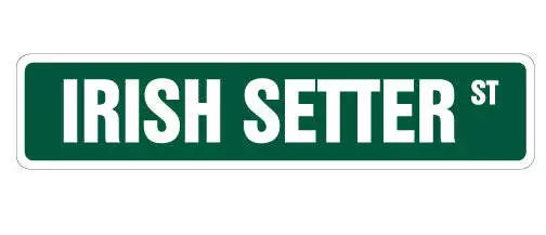 IRISH SETTER Street Sign Metal Plastic Decal dog lover great kennel groomer