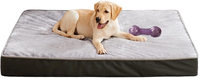 Washable Dog Beds for Large Dogs, Orthopedic Dog Bed with Removable Waterproof C