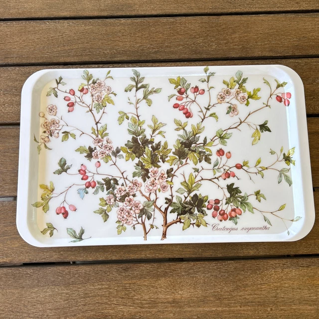 "Bandeja de colección Italia Villeroy y Boch Botancia Crataegus Oxyacantha 18,5x11,5"