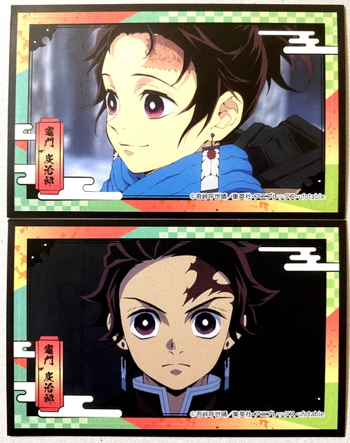 Demon Slayer sticker 2 set Tanjiro Kamado 8.9cmx5.7cn Japan not for sale rare