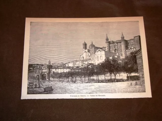 Rara veduta di Urbino nel 1883 Il Mercatale