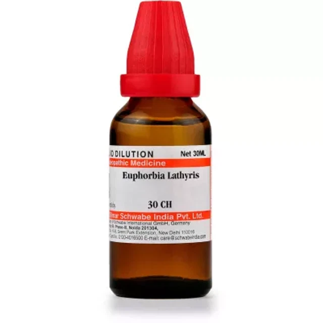 Willmar Schwabe India Anacardium Orientale (30 ml) 100% homeopático