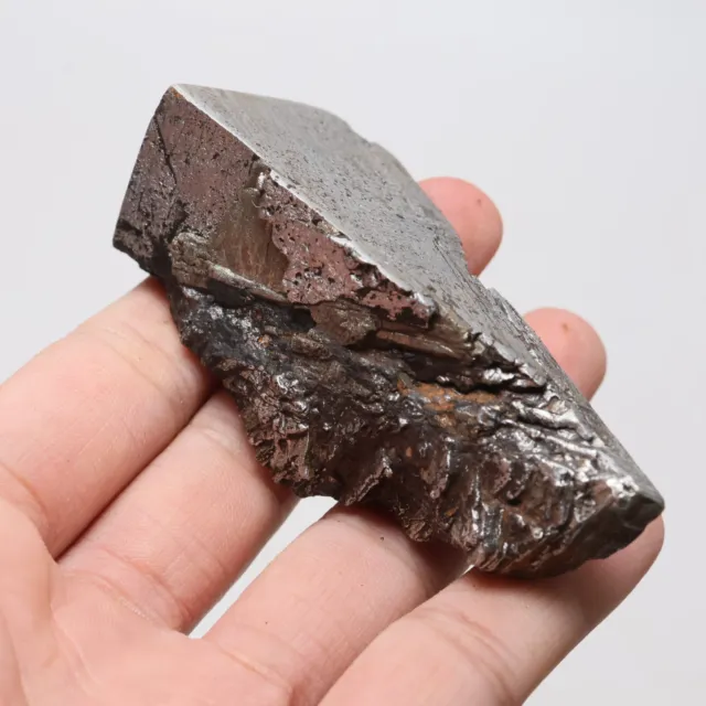 168g  Muonionalusta meteorite part slice C6988