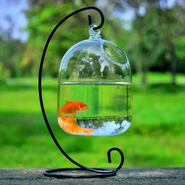 Hanging Transparent Glass Aquarium Fish Bowl Fish Tank With Holder