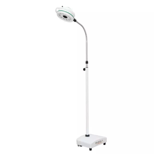 Portable 12-Hole 36W Medical Exam Light Lamp - Ideal for Dental  Surgery