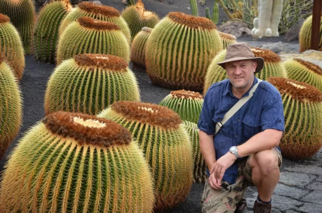 Cuscino Della Suocera - Echinocactus Grusonii, 10 Semi Selezionati 2